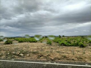 Finca rústica a Mascaraque. Oferta de finca rustica  apee de camino y cerca de carretera