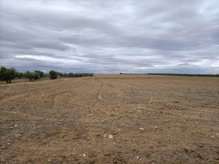 Rural plot in Mascaraque