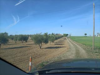 Propriété à Almonacid de Toledo. Oferta de tierra
