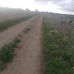 Propriété à Almonacid de Toledo. Oferta de finca