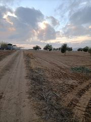 Landgut in Orgaz. Finca cerca de orgaz a pie de camino