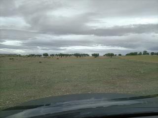 Propriété à Almonacid de Toledo. Se vende finca rustica