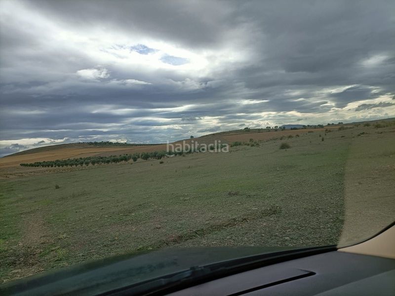 Foto 4656f18f-0423-47ca-a389-4e70698d0299. Finca rústica en Almonacid de Toledo