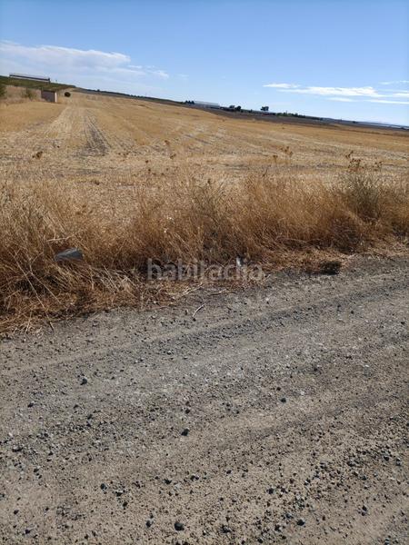 Foto abf1ab66-3981-487a-9acc-c915f85a58dc. Finca rústica a Almonacid de Toledo