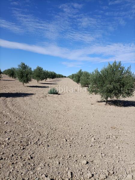 Foto d298e93d-84bc-473d-9ed6-8b81aa4c8c70. Finca rústica a Almonacid de Toledo