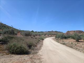 Fondo rustico in Almonacid de Toledo