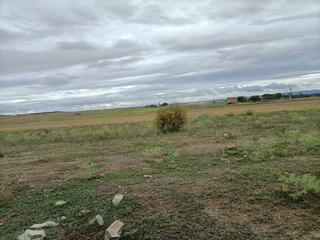 Propriété à Almonacid de Toledo. Se vende finca rustica
