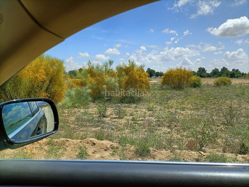 Foto 2404ea82-aee2-4e9b-b5cb-c636ffadf7ef. Finca rústica a Villaminaya