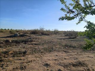 Fondo rustico in Villaminaya