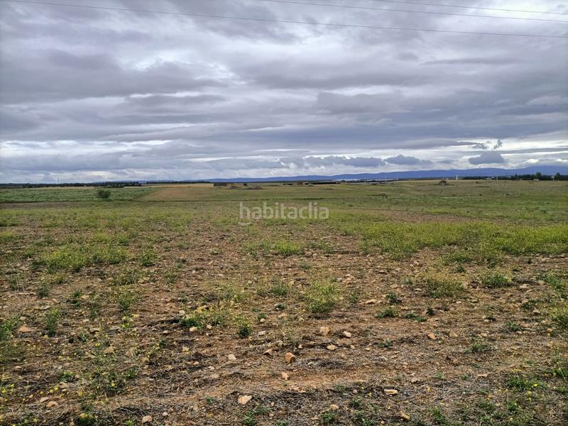 Foto c321626c-4dc4-474e-81d3-3678776d271f. Fondo rustico in Villaminaya