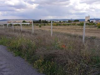 Finca rústica a Orgaz. Finca rustica cercada junto al pueblo