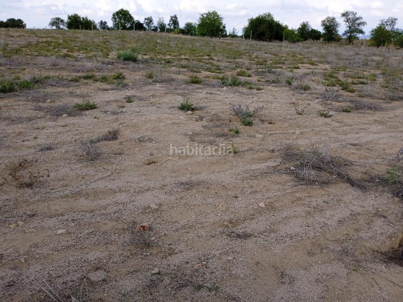 Foto 3e59eaec-dbc1-4d25-9209-a921bec13ee4. Finca rústica a Orgaz