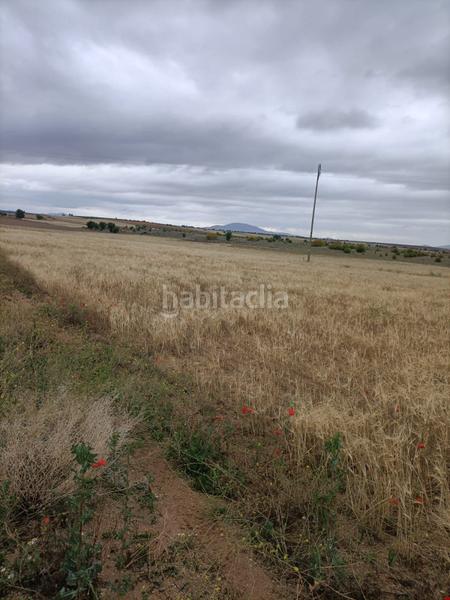 Foto ff34696b-8411-4912-ba68-ab9d016e6c3c. Fondo rustico in Almonacid de Toledo