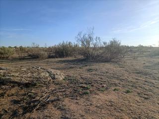 Rural plot in Villaminaya