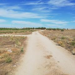 Finca rústica a Villaminaya. Oferta de finca rustica  cerca del pueblo
