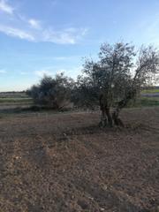 Finca rústica a Villaminaya. Oferta