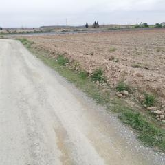 Finca rústica a Orgaz. En venta finca con plantación de olivos y almendros