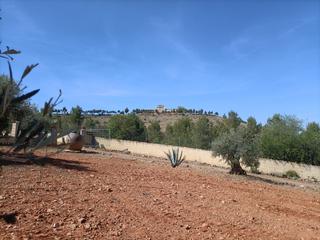 Finca rústica a Mora. ¡¡ oferta de finca !!
