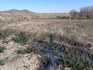 Rural plot in Villaminaya
