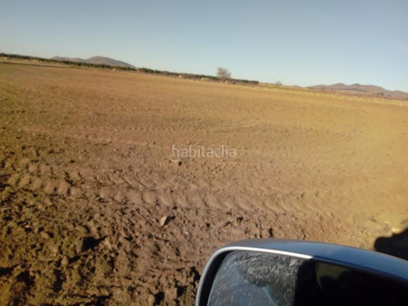 Foto 27756f9f-9dfc-4ec6-860c-5f99b58f3d23. Finca rústica a Chueca