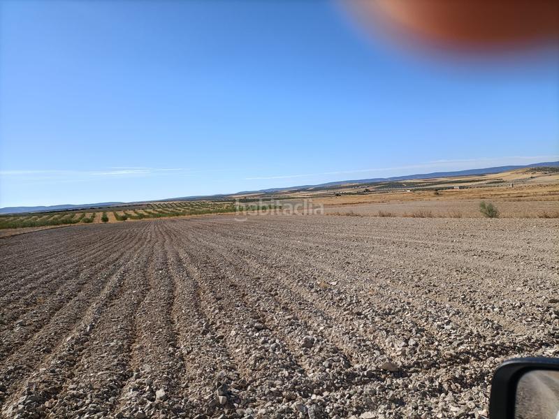 Foto 2f4e971f-6463-4c8e-a1a1-bd383db81297. Finca rústica a Chueca