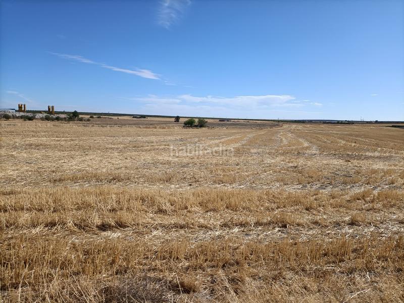 Foto 79225fe5-031d-4e03-bf2b-3cbed79cdc31. Finca rústica a Chueca