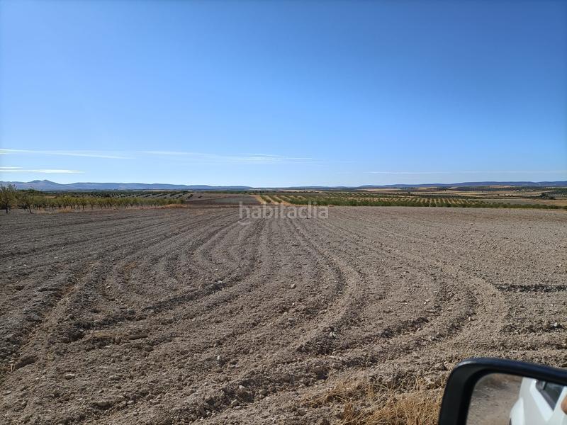 Foto a733f73a-a86e-4b6b-933f-25074bf3ff51. Finca rústica a Chueca