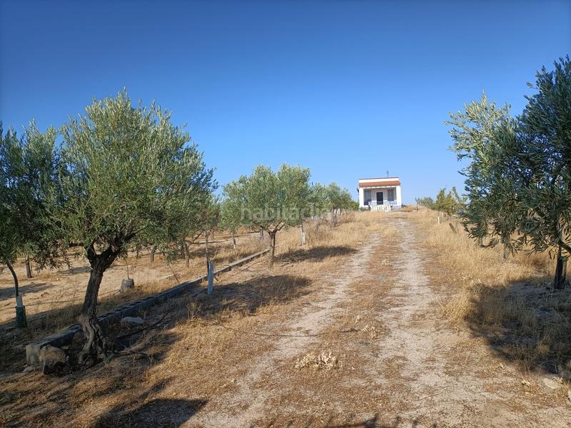 Foto 1166e3b9-cd96-408d-963e-f04add3534fa. Finca rústica finca rustica de 14 hectareas en Orgaz