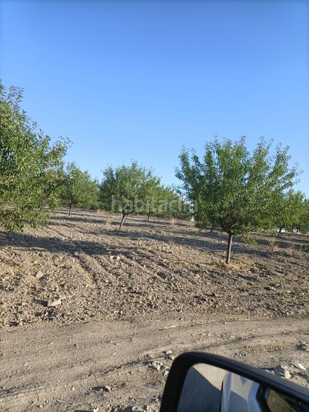 Foto 4ab78e8d-342b-4e3a-834d-c0fca58a760f. Finca rústica finca rustica de 14 hectareas en Orgaz