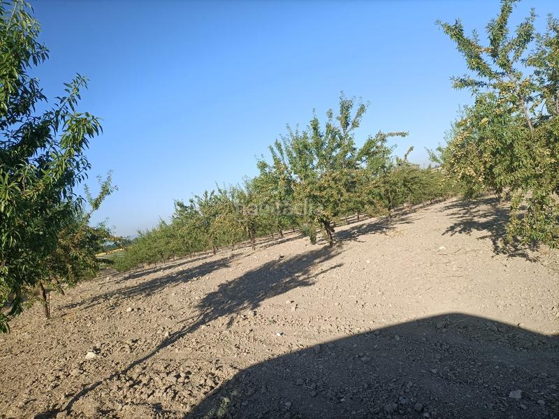 Foto 5f4918e5-67d7-4b35-84b0-24ce3ed2d02c. Finca rústica finca rustica de 14 hectareas en Orgaz