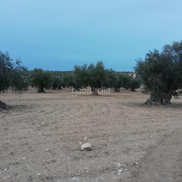 Foto 68f86bf9-2625-4ebc-8eb9-608d11749cc8. Fondo rustico in Nambroca