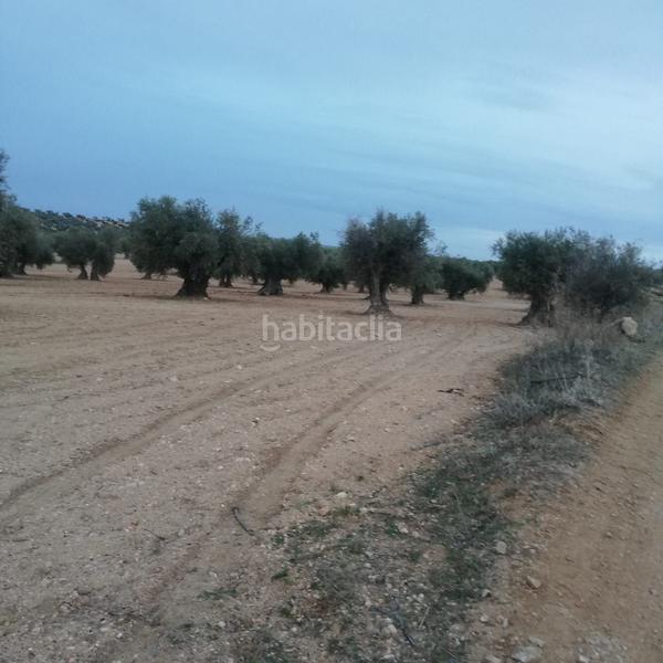 Foto b5d84b37-95bf-41fe-b2e2-a264eeece1f4. Fondo rustico in Nambroca