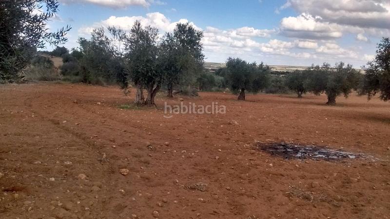 Foto cd3aac5f-3290-4702-a4c0-a1330518a983. Fondo rustico in Nambroca