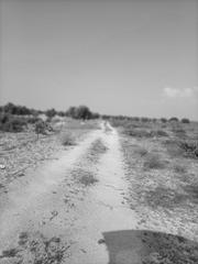Rural plot in Chueca