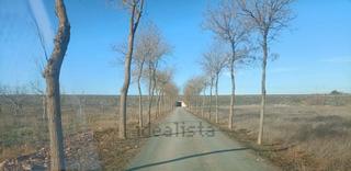 Finca rústica a Manzaneque. Finca rustica junto al pueblo con agua y placa solar