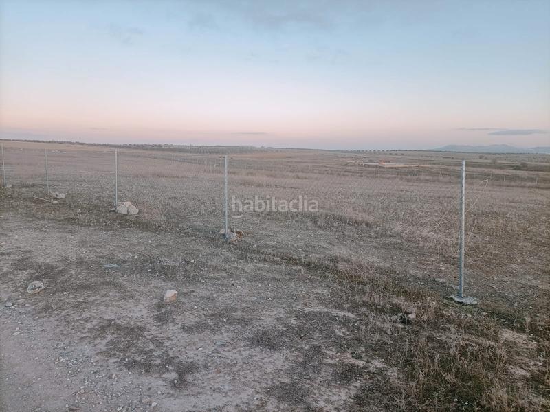 Foto 3d868313-fcb6-4c05-8b3d-402cd60ffda4. Finca rústica a cm-4019 18 a Mascaraque