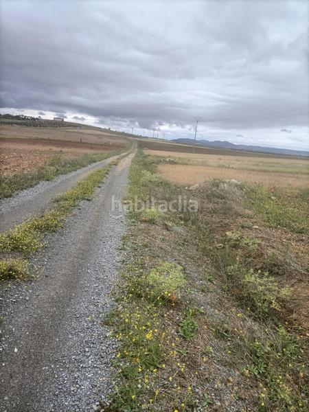Foto 43b7f72e-e1ec-4757-9670-9b81b3939012. Finca rústica a cm-4019 18 a Mascaraque