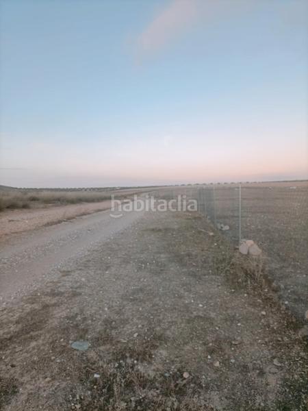 Foto c1128bd7-3571-4c62-93d7-a7bbea42c12f. Finca rústica a cm-4019 18 a Mascaraque