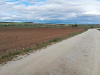 Finca rústica a Orgaz. Se vende finca rustica en la zona de orgaz toledo