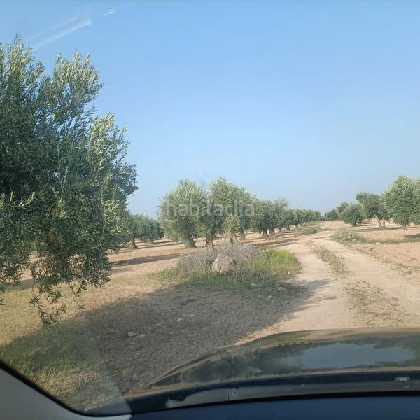Foto 55fa1ae9-bbb5-4708-987d-4e8419f96a7c. Fondo rustico in calle mascaraque 10 in Mora
