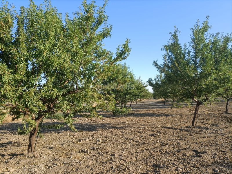 Foto 4892a704-af15-46be-9a62-97fac787c4d5. Finca rústica a Mascaraque