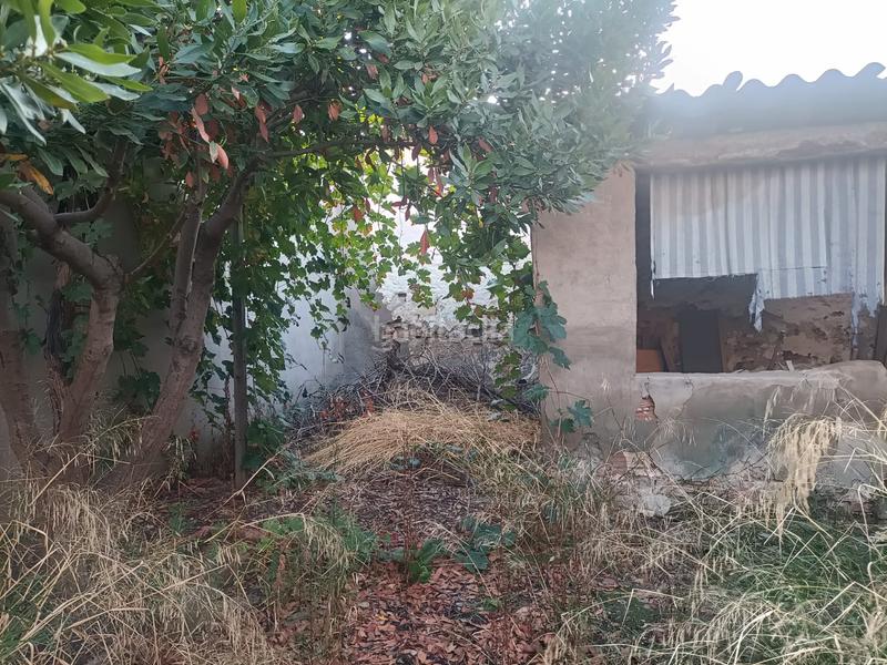 Foto 399e122b-71b2-4dd5-b859-4a1b43fd077a. Maison dans Mora