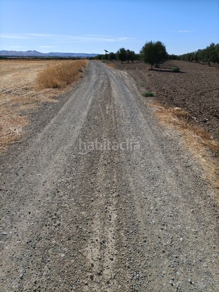 Foto e60ed607-d7bc-4568-b956-e3573d71451f. Finca rústica a Almonacid de Toledo