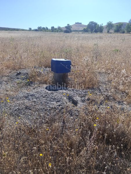 Foto 12cba662-5960-46e7-b3a6-f8f5994a1d82. Finca rústica a Almonacid de Toledo