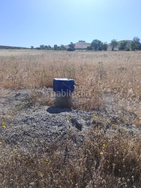 Foto 9b81ec97-b878-4957-b973-b7d16bed57df. Finca rústica a Almonacid de Toledo