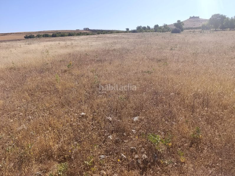 Foto abca03c2-b8e2-4af4-a98a-f755740ef471. Finca rústica a Almonacid de Toledo