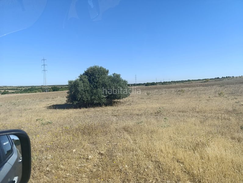 Foto cd0c25d4-924a-48c0-92ba-2318dfedacf0. Finca rústica a Almonacid de Toledo