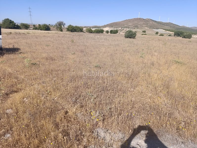 Foto df4a2560-e77a-4a71-9b74-07838e7e3ddb. Finca rústica a Almonacid de Toledo