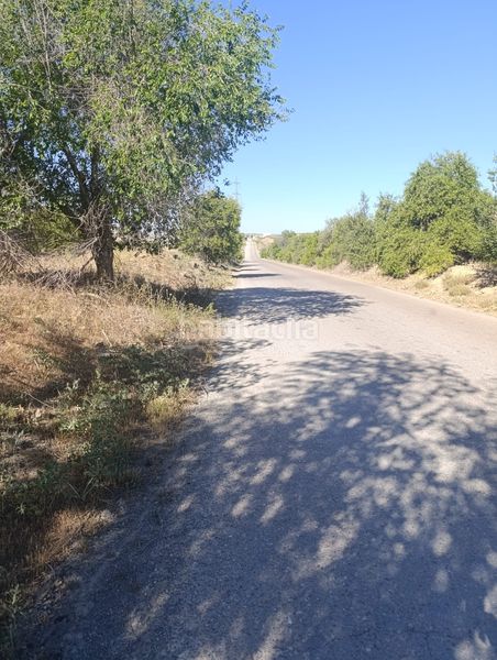 Foto ebabeb8c-e0b1-4816-9375-5371783ecc3a. Finca rústica a Almonacid de Toledo