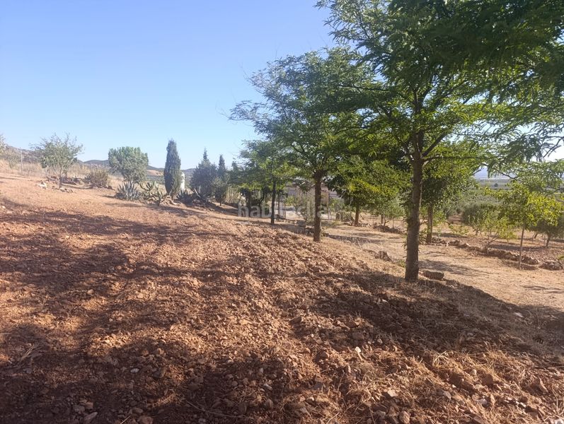 Foto f5204794-eb4d-4b95-a077-06cf90cd99b3. Casale in Mora